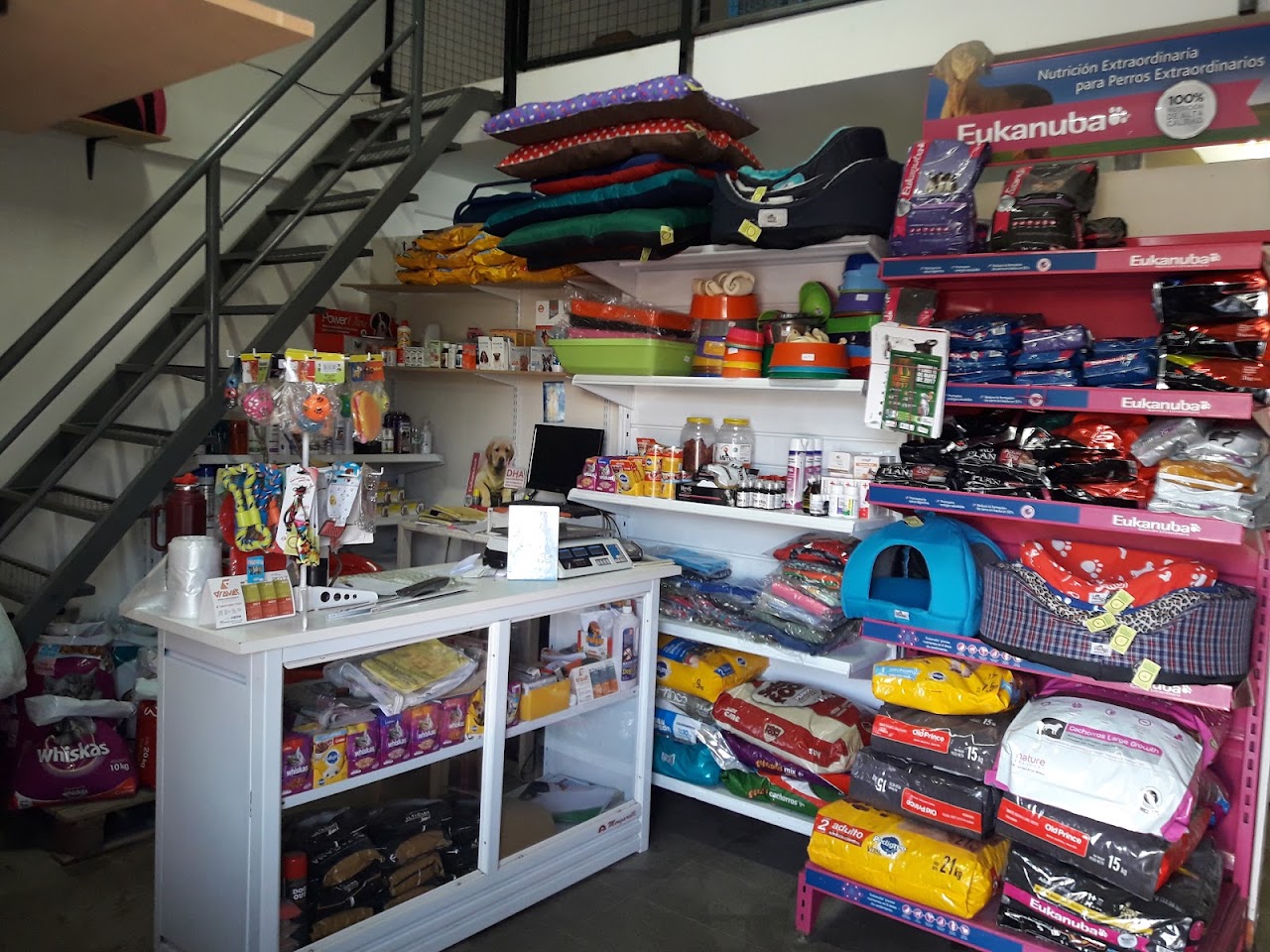 Interior de la Clínica Veterinaria AYLLU con pet shop y mostrador